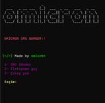 resim_2023-06-18_135830151.png