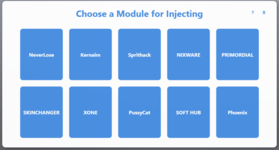 csinjector.PNG