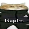 napim01