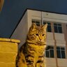 ufuk_krdg