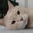 hermestecat